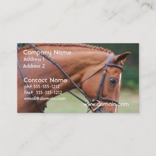 Chestnut Show Horse Business Cards