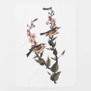 Chestnut-Sided Warbler Audubon Bird on Wildflower Baby Blanket