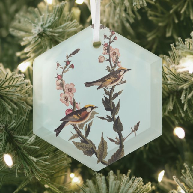 Chestnut-Sided Warbler Audubon Bird on Wildflower Glass Ornament (Insitu)