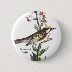 Chestnut-sided Warbler, Audubon, Birder Accessory, Button