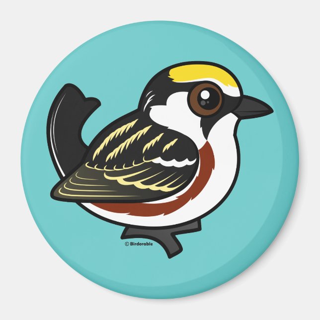 Chestnut-sided Warbler Magnet (Front)