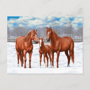 Chestnut Sorrel Quarter Horses In Snow Postcard