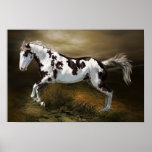 Chestnut Splash Frame Tovero Paint Horse Poster