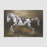 Chestnut Splash Frame Tovero Paint Horse Tissue Paper
