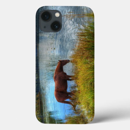 Chestnut Stallion Drinking At Scenic Lake Photo iPhone 13 Case