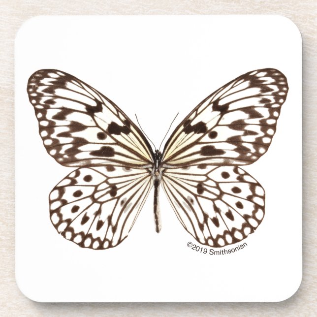 Chestnut Tiger Butterfly Beverage Coaster (Front)
