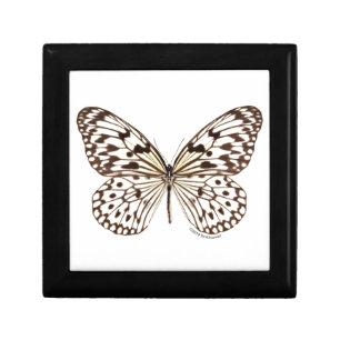 Chestnut Tiger Butterfly Gift Box