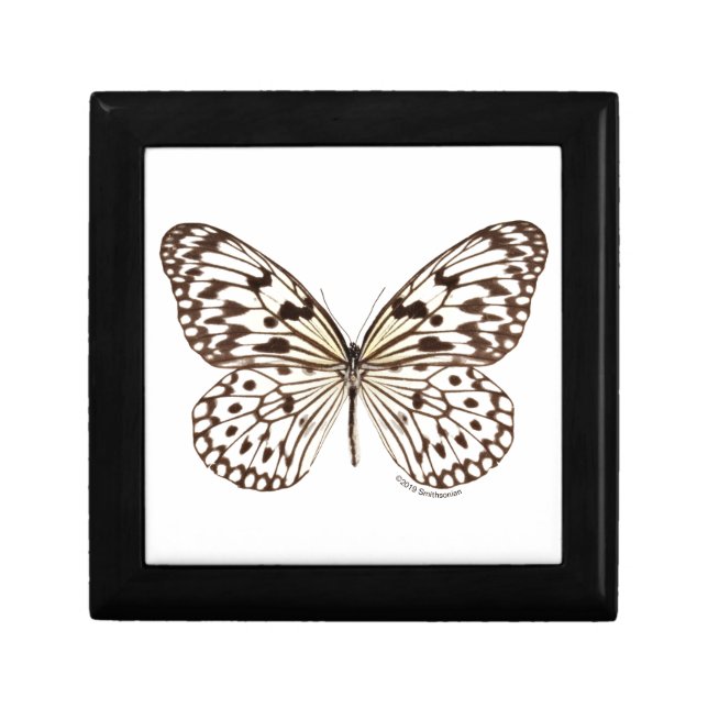 Chestnut Tiger Butterfly Gift Box (Front)