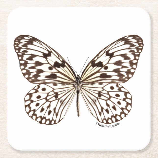 Chestnut Tiger Butterfly Square Paper Coaster (Front)