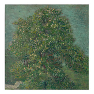 chestnut tree in bloom  acrylic print