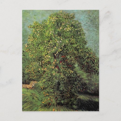 Chestnut Tree in Blossom Vincent van Gogh Postcard