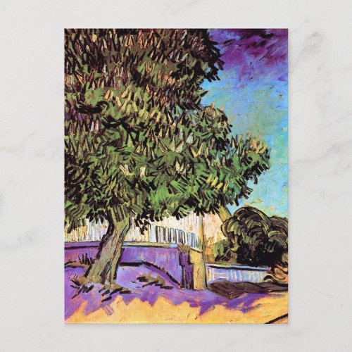 Chestnut Tree in Blossom Vincent van Gogh Postcard