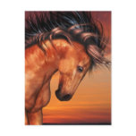 Chestnut Unicorn  Postcard