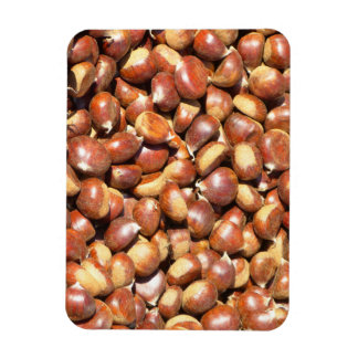 chestnuts-211079  chestnuts sweet chestnuts delici magnet