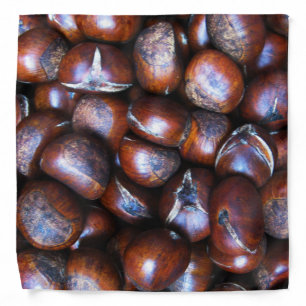 Chestnuts Bandana