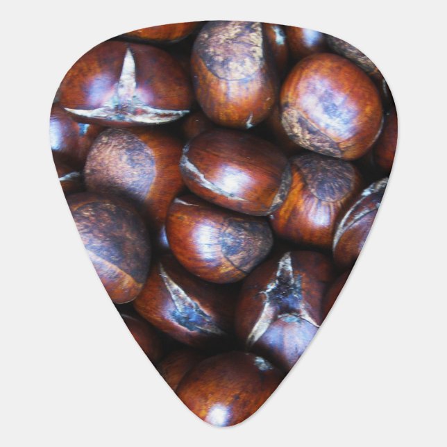 Chestnuts Guitar Pick (Front)