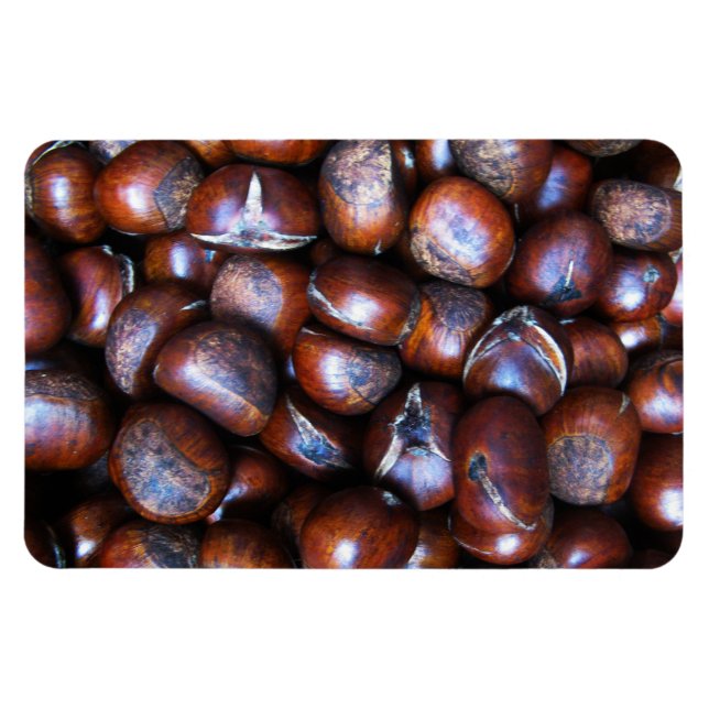 Chestnuts Magnet (Horizontal)