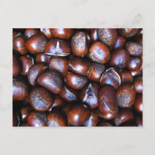 Chestnuts Postcard