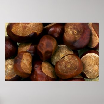 Chestnuts Poster by GetArtFACTORY at Zazzle