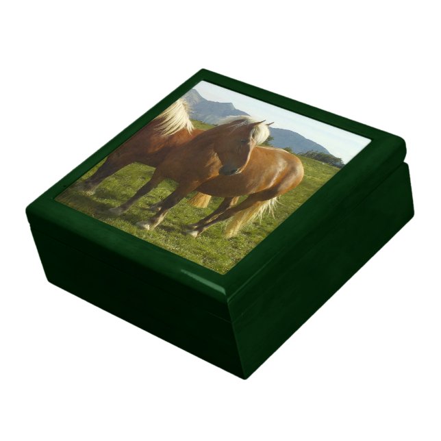 Cheval Green Memory Box (Side)