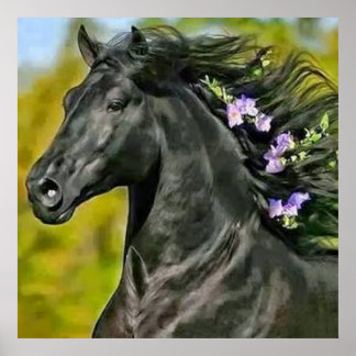 cheval noir crinière fleurie, Papier poster (mat)