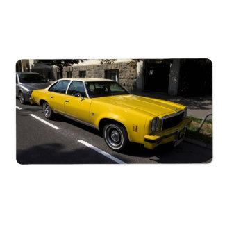 Chevrolet Malibu Classic Label