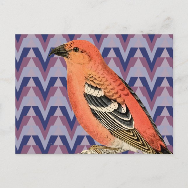 Chevron and Vintage Pink Bird Postcard (Front)