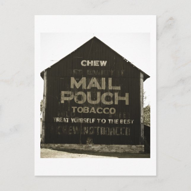 Chew Mail Pouch Tobacco - Antique Photo Finish Postcard (Front)