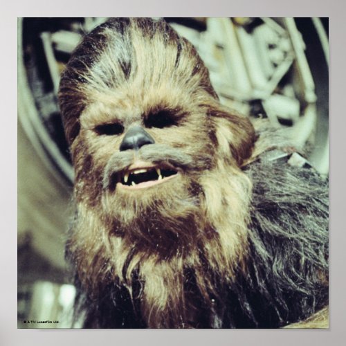 Chewbacca Photograph Poster