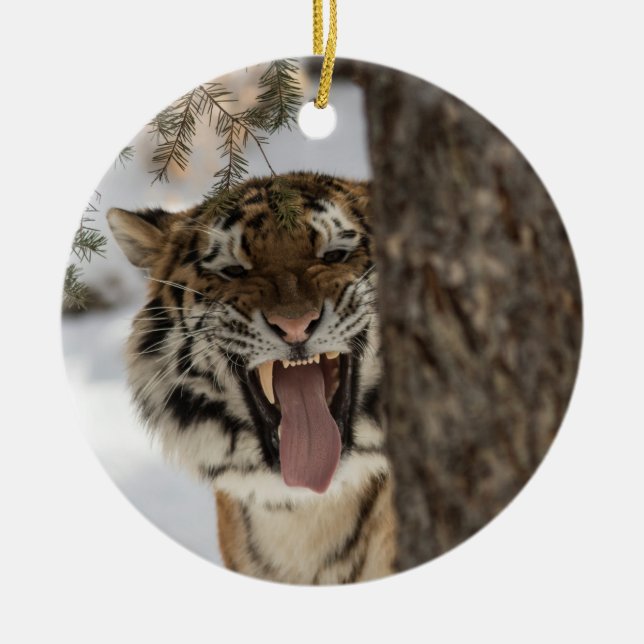 Chewy 2018 ceramic ornament (Front)