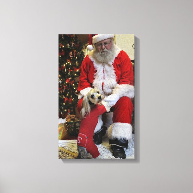 Chewy Finally gets to Meet Santa Canvas Print (Front)