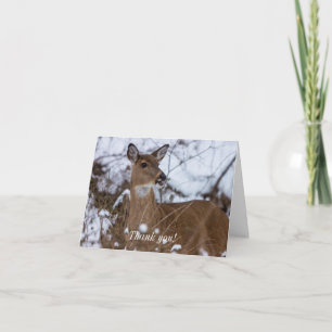 Chewy Thank You Card