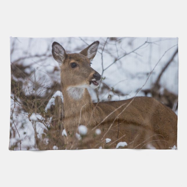 Chewy Towel (Horizontal)