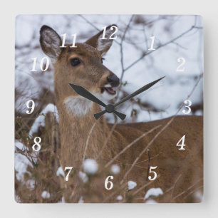Chewy Wall Clock
