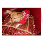 chi card (Front Horizontal)