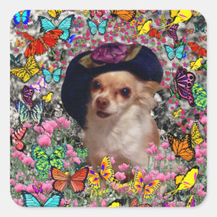 Chi Chi in Butterflies - Chihuahua Puppy in Hat Square Sticker