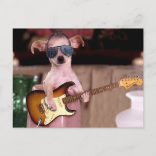 Chi Chi the Guitar Player Postcard