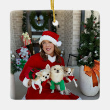 Chi House Rescue Christmas Ornament 2024