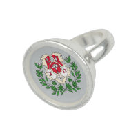 Chi omega 2024 crest ring