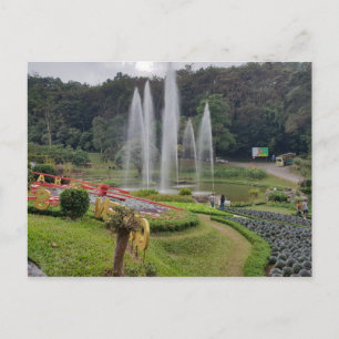 Chiang Mai Thailand Garden Postcard