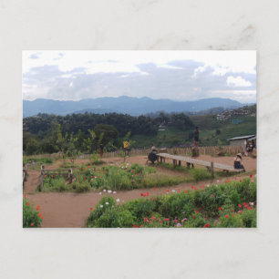 Chiang Mai Thailand Postcard