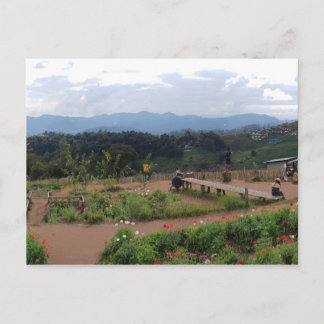 Chiang Mai Thailand Postcard