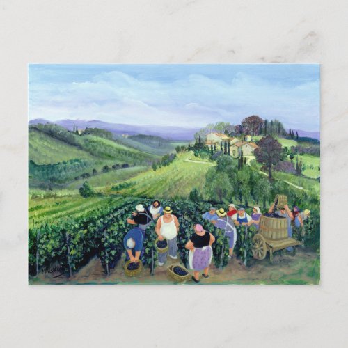 Chianti Landscape Postcard