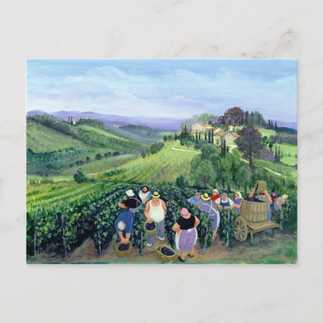 Chianti Landscape Postcard (Front)
