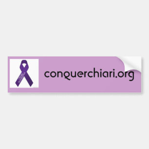 Chiari Malformation, conquerchiari.org Bumper Sticker
