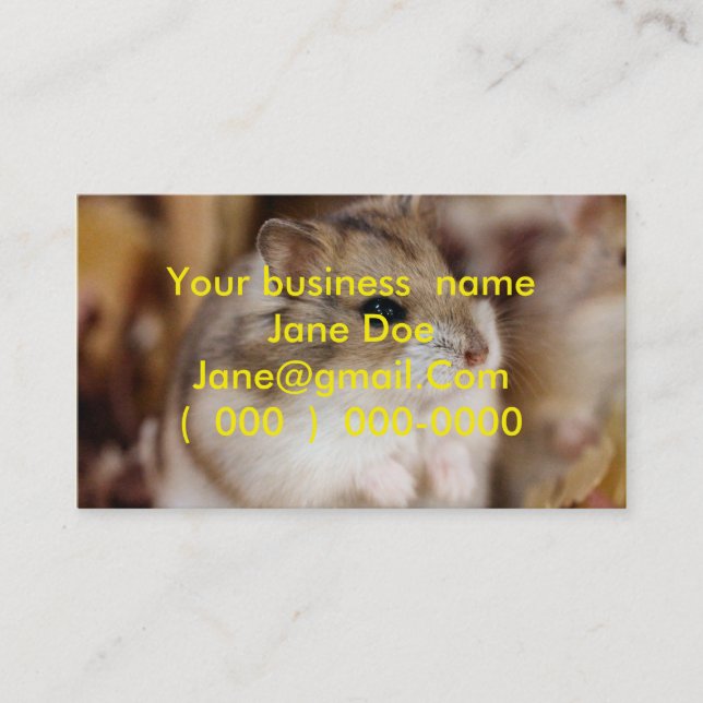 Chibby  business  cards (Front)