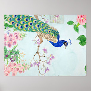 Chibi Peacock Peacock Lover Peacock Lover Art Poster