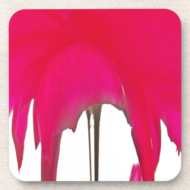 Chic amazing Red rose under the white sky.  Drink Coaster (Front)