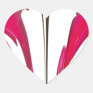 Chic amazing Red rose under the white sky.png Heart Sticker