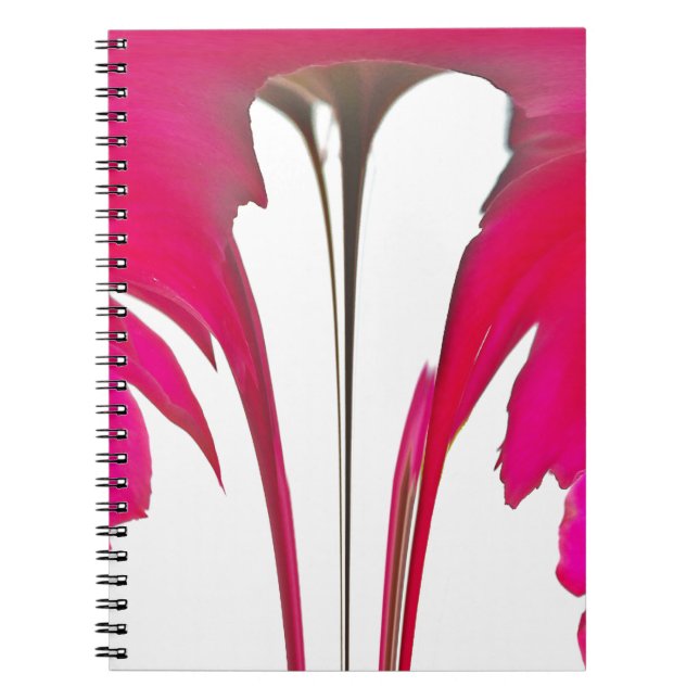 Chic amazing Red rose under the white sky.png Notebook (Front)